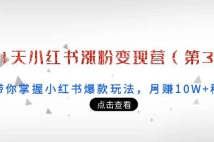 21天小红书涨粉变现营（第3期）：带你掌握小红书爆款玩法，月赚10W 秘密