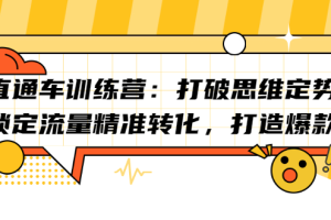 直通车训练营：打破思维定势，锁定流量精准转化，打造爆款