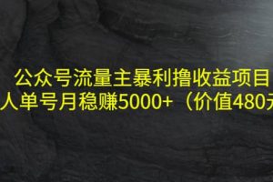 公众号流量主暴利撸收益项目，单人单号月稳赚5000 （价值480元）