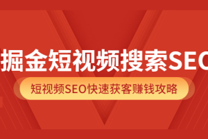 掘金短视频搜索SEO，短视频SEO快速获客赚钱攻略（价值980）