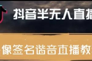 最近火爆的抖音头像签名设计半无人直播直播项目：直播教程 素材 直播话术