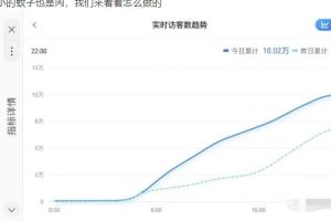 无货源店群教程，朋友圈那些几万访客的店是怎么做的