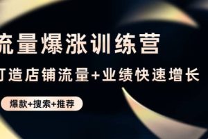 流量爆涨训练营：打造店铺流量 业绩快速增长 (爆款 搜索 推荐)