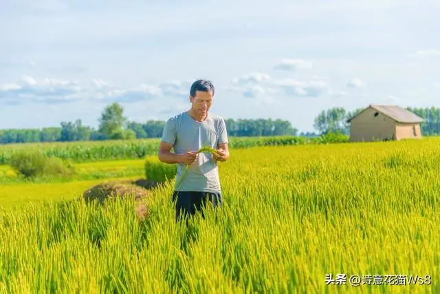 网上做什么能赚钱稳定_网上做调查赚钱_做期货稳定赚钱的人