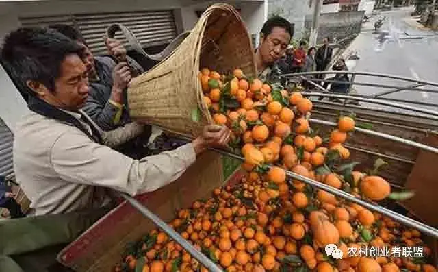 15年0元干代理挣钱_干什么挣钱多 又快_干优步挣钱还是滴滴