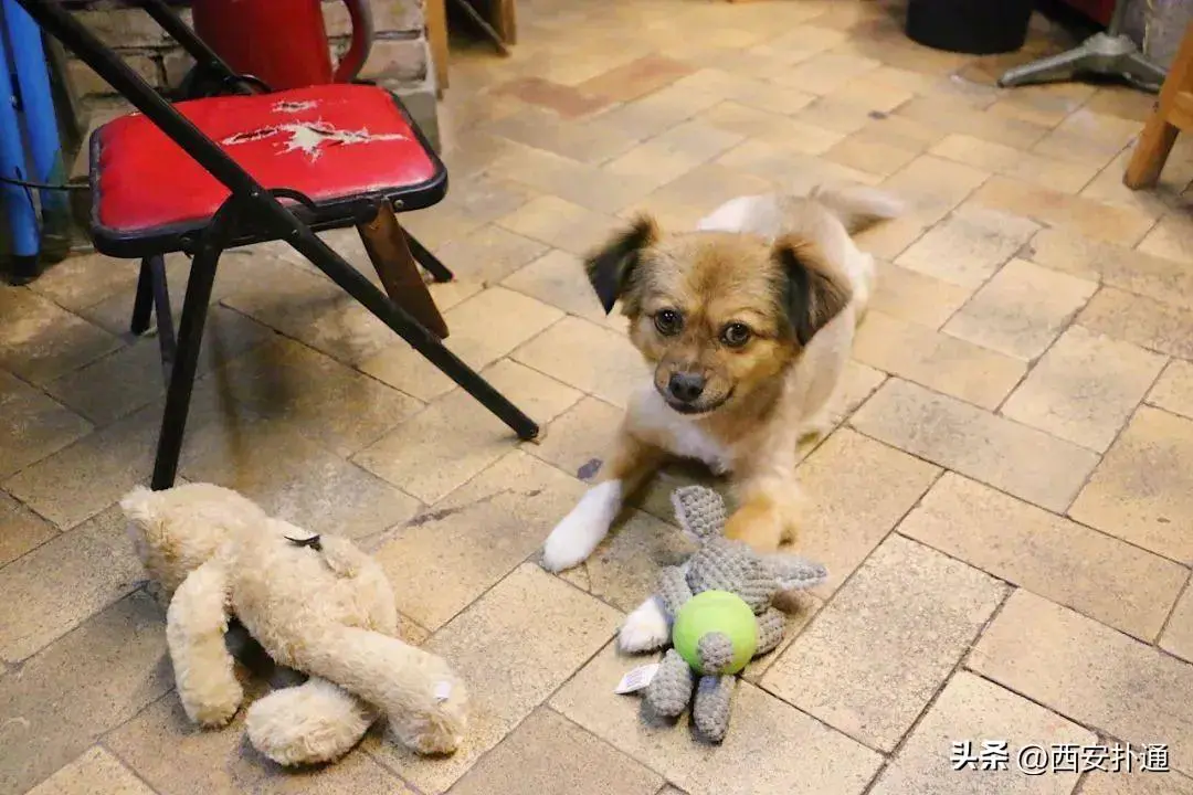 靠自媒体赚钱靠谱吗_怎么在家里赚钱靠谱_靠炒股赚钱靠谱不靠谱