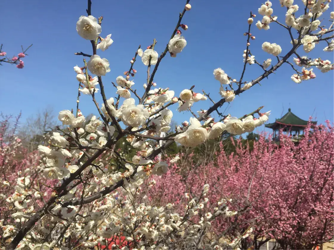 在家怎么通过手机赚钱_怎么才能在家每天用手机赚钱_如何通过一部手机赚钱