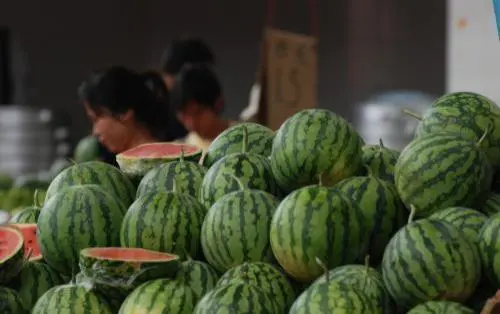 赚客大家谈赚客吧_赚客大家谈 - 赚客吧赚客之家_怎么赚几百块