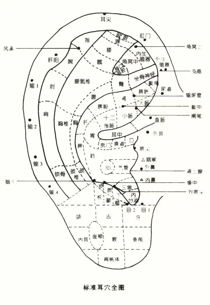 当乐 赚乐豆_盘丝洞软件怎么赚盘豆_怎么注册豆赚