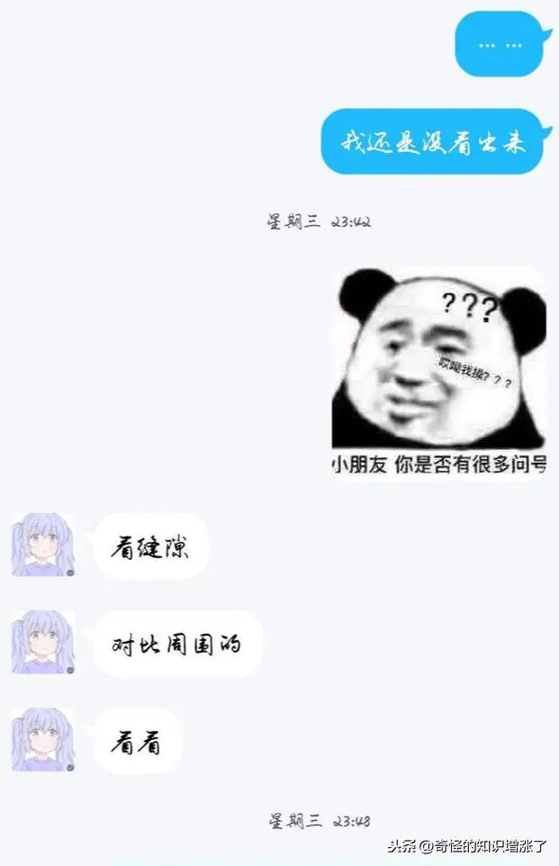 免费打字赚钱平台_小说打字赚钱平台_打字赚钱平台怎么赚钱