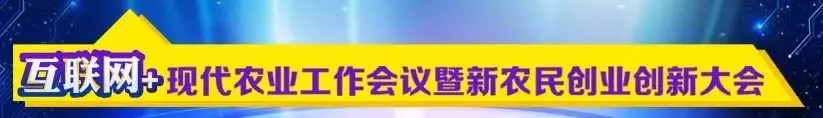 手机如何挣钱真实日赚500元项目_给力赚怎么挣钱_多赚网怎么挣钱