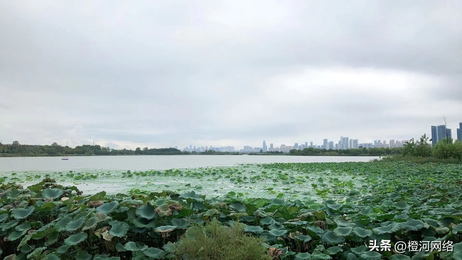 什么好赚钱的问券调查_大学生网络消费调查问卷_网络调查问卷