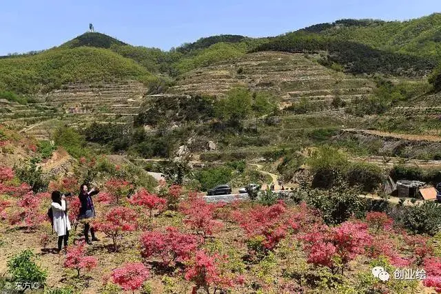 赚钱无本金_无成本如何赚钱_有什么无成本的赚钱方法