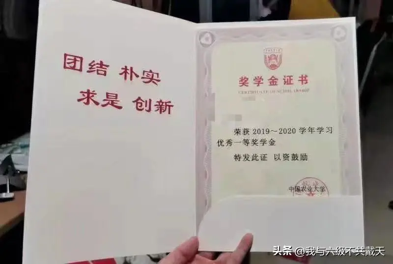 大学生的钱都花哪儿了_大学生如何?钱_大学生的钱都去哪了